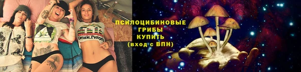 прущие грибы Аркадак