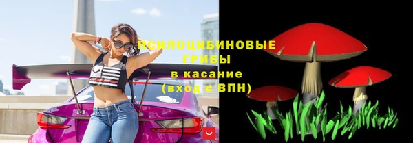 прущая мука Армянск