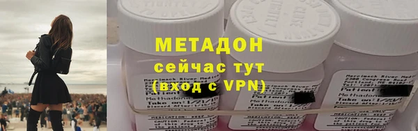 прущие грибы Аркадак