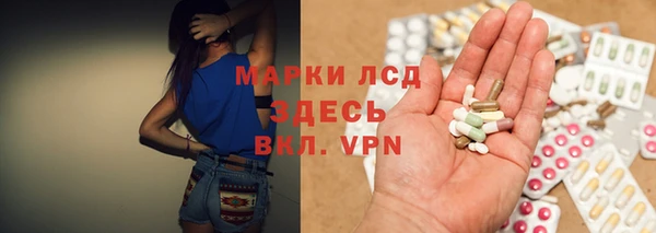 прущие грибы Аркадак