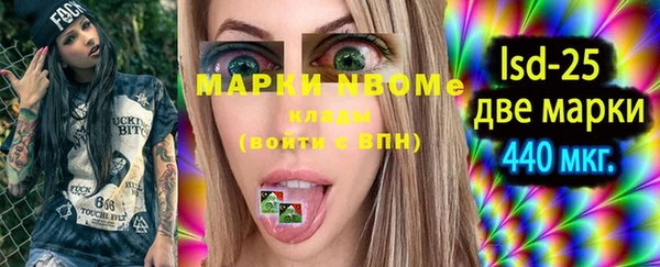 прущие грибы Аркадак