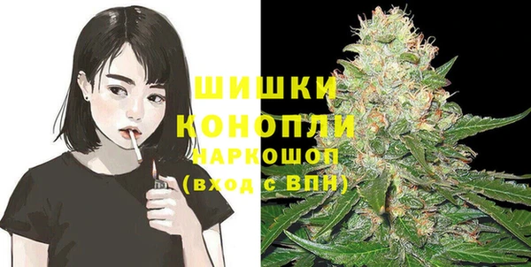 прущие грибы Аркадак