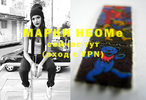 прущие грибы Аркадак
