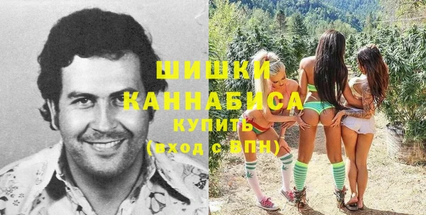 прущие грибы Аркадак
