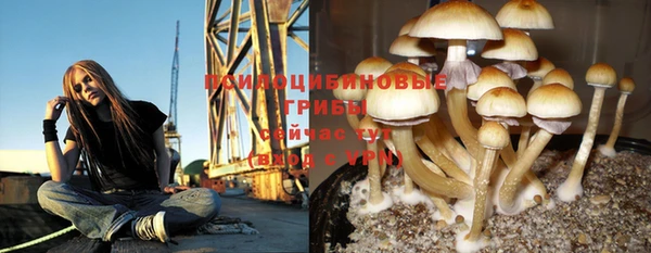 Альфа ПВП Арсеньев