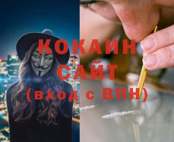 прущие грибы Аркадак