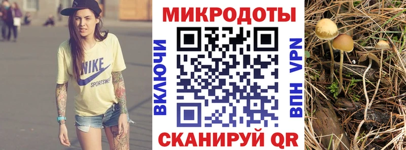 Псилоцибиновые грибы мухоморы Усть-Катав