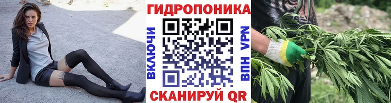 Шишки марихуана семена где найти Усть-Катав
